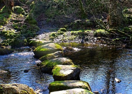 Stepping stones – David’s journey to Quakers