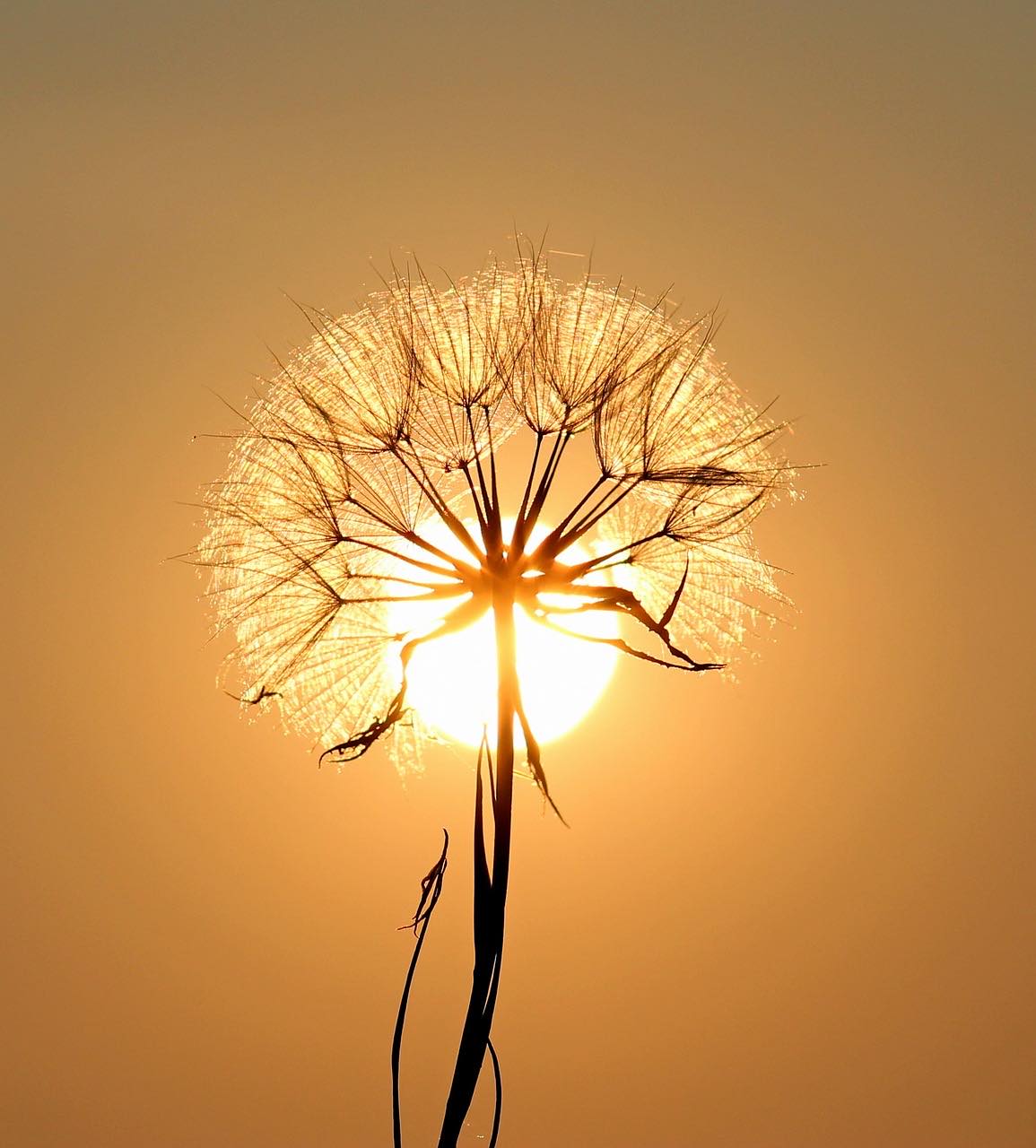 Experiencing spirituality