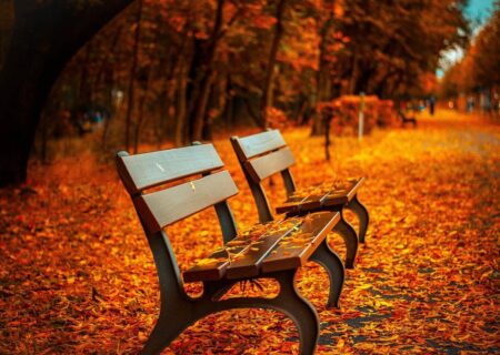 Thoughts on Autumn