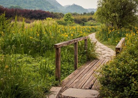 Quakers are a bridge between old and new