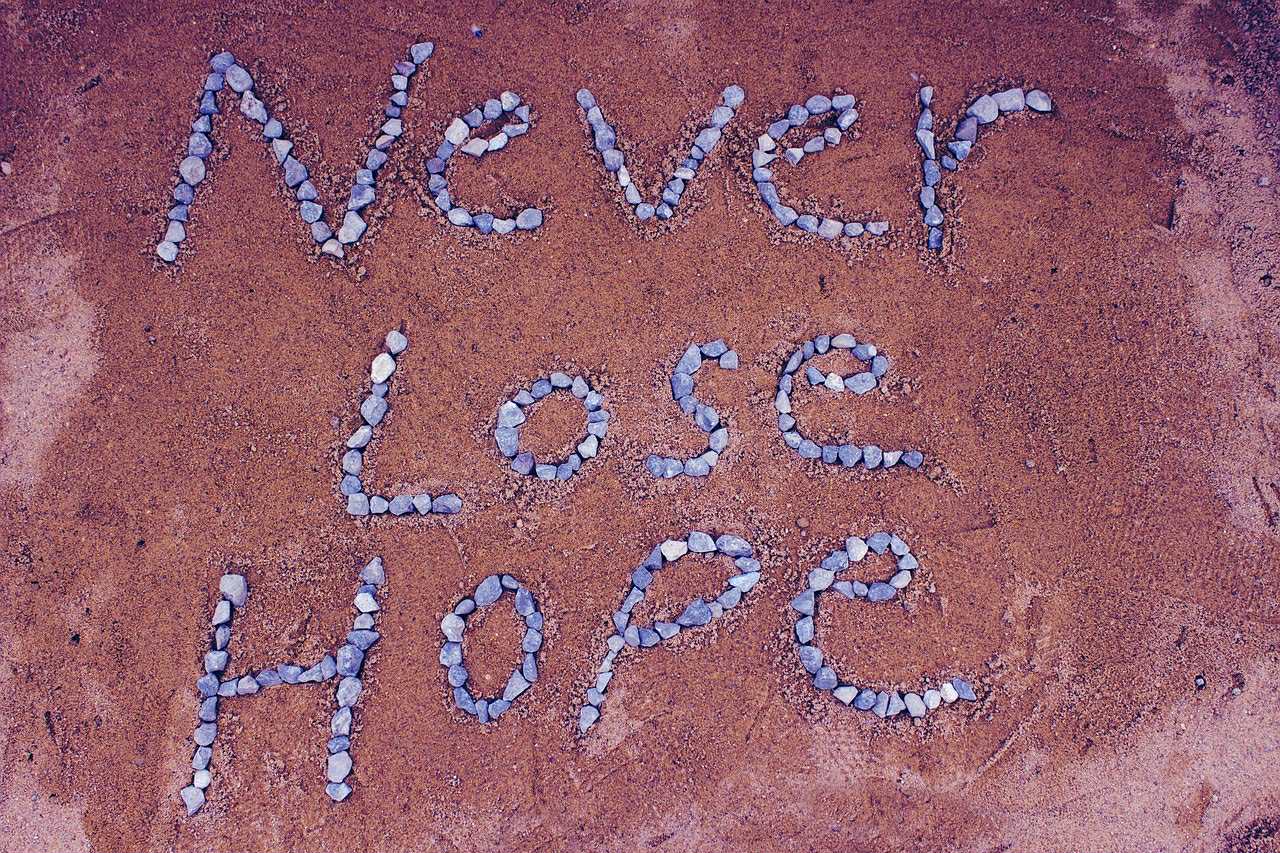 Hope not Hate: A discussion